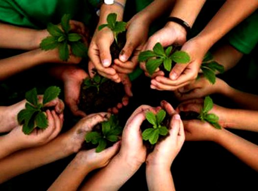 world environmental day celecration 2016 usha yarns
