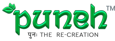 puneh logo